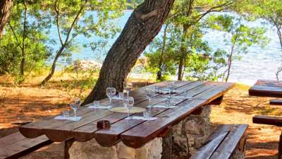 Peljesac Wine